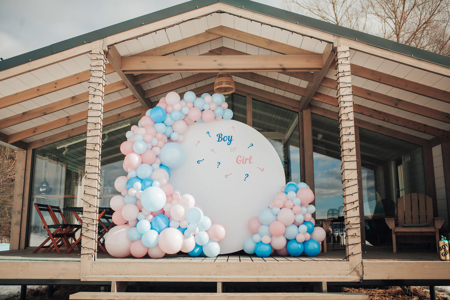 Гендер пати